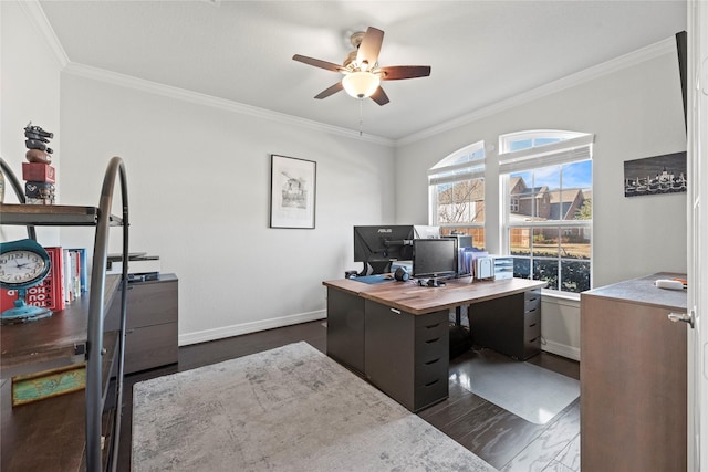 office featuring ceiling fan, dark hardwood / wood-style flooring, and crown molding