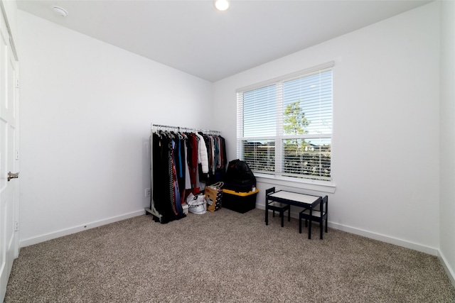 interior space featuring carpet flooring