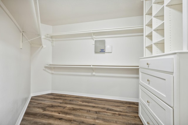 walk in closet with dark wood-type flooring