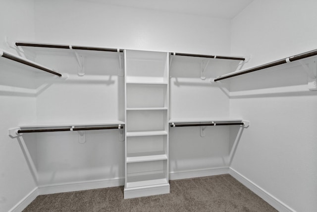 walk in closet with carpet flooring