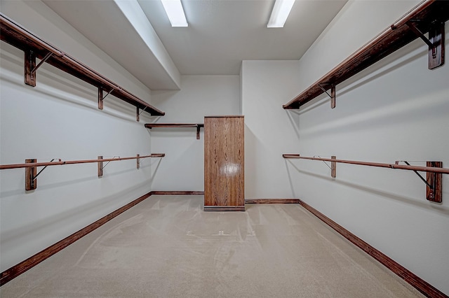 walk in closet with light colored carpet