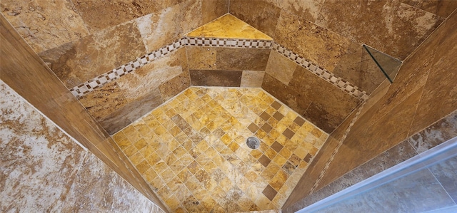 interior details with tiled shower