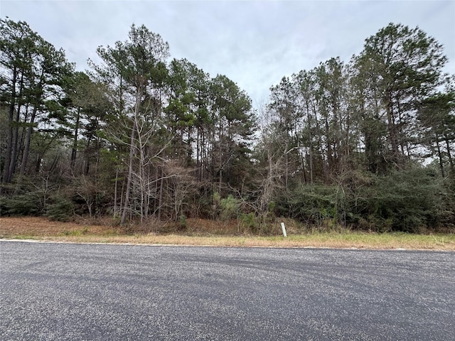 3A-7-5 Grand Vw, Huntsville, TX 77340 - photo 12
