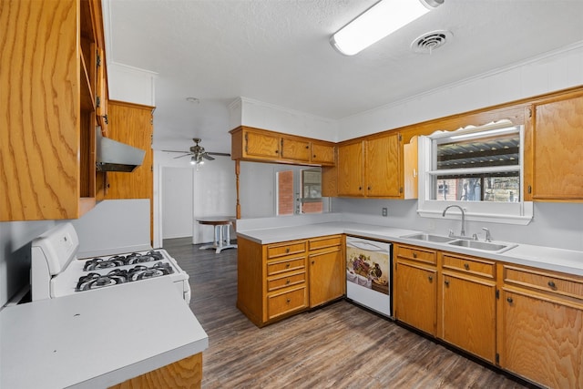 kitchen featuring kitchen peninsula, sink, white appliances, dark wood-type flooring, and ventilation hood