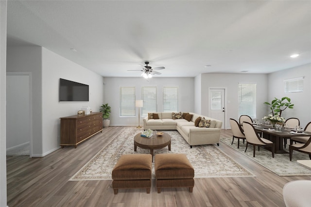 living room featuring ceiling fan and wood-type flooring