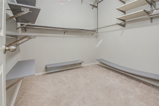 spacious closet with carpet