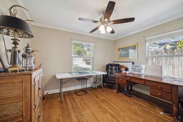 home office featuring ceiling fan, ornamental molding, and light hardwood / wood-style floors