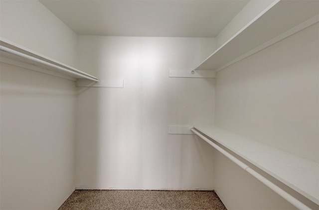 walk in closet with carpet flooring