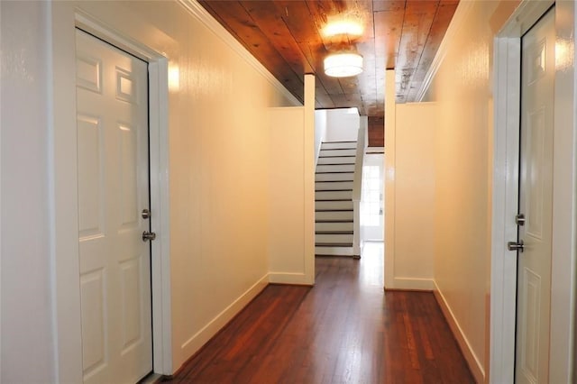 hallway featuring dark wood-type flooring, ornamental molding, and wood ceiling