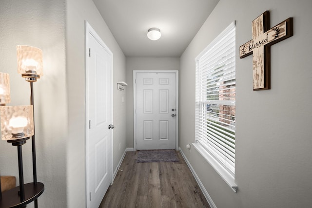 doorway featuring hardwood / wood-style floors