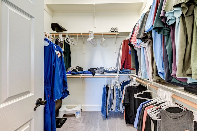 spacious closet featuring carpet flooring