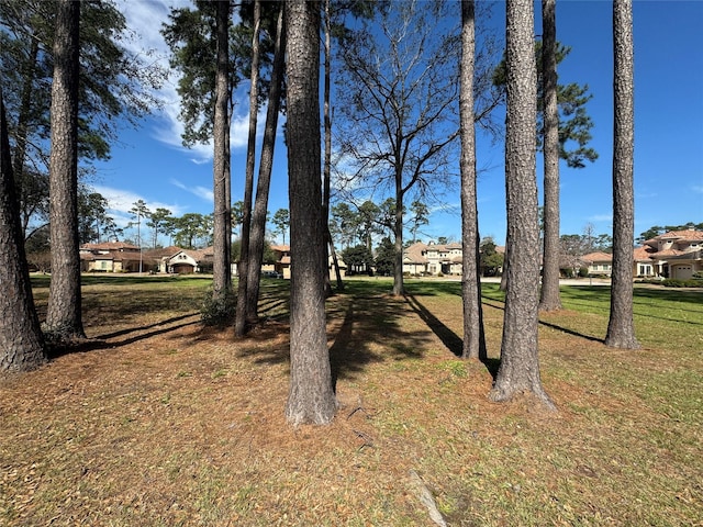 view of yard with a residential view