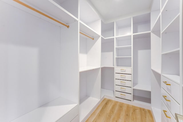 spacious closet featuring hardwood / wood-style flooring