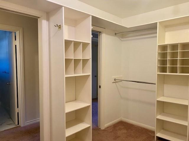 walk in closet featuring dark colored carpet