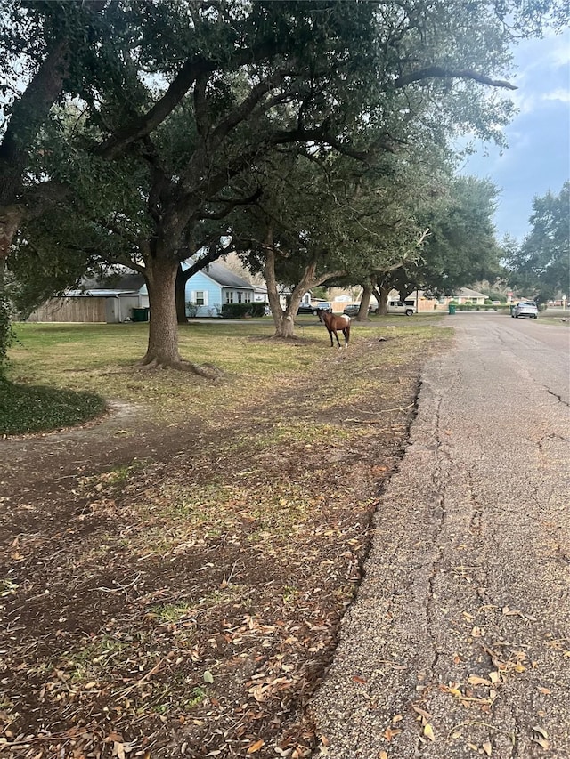 view of road