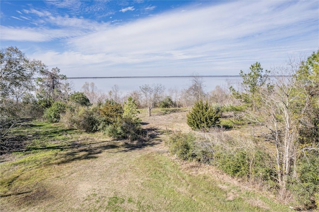 Listing photo 3 for 0 Fahring St, Anahuac TX 77514