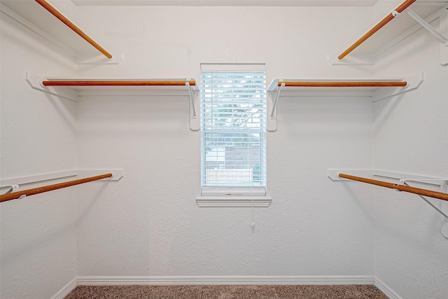 walk in closet featuring carpet floors