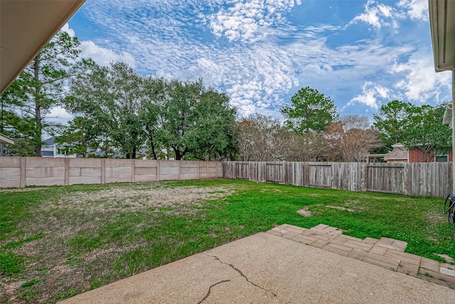 view of yard featuring a patio