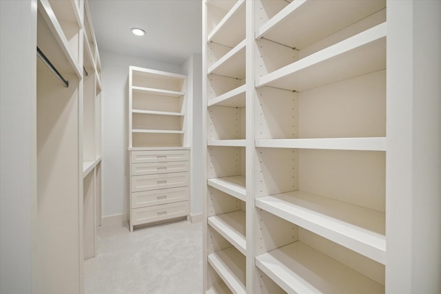 spacious closet featuring light carpet