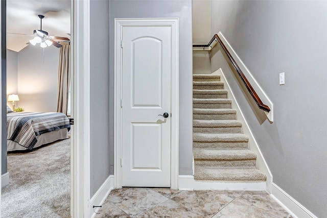 stairs featuring ceiling fan and carpet