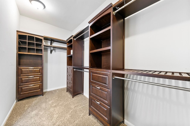 spacious closet featuring light carpet