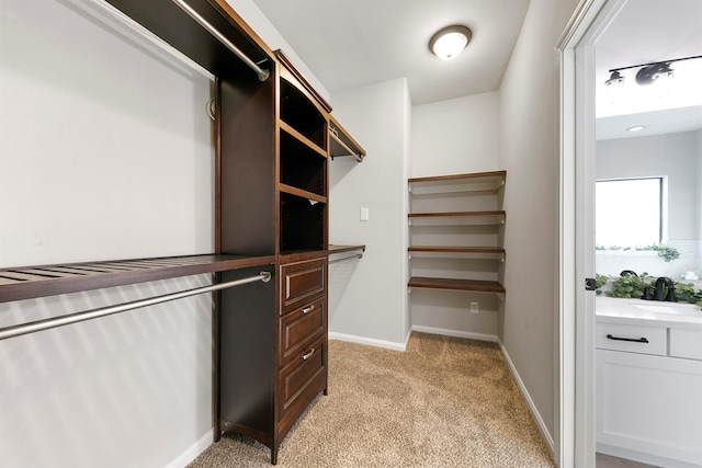 spacious closet with light colored carpet