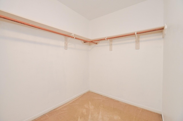 spacious closet featuring carpet floors