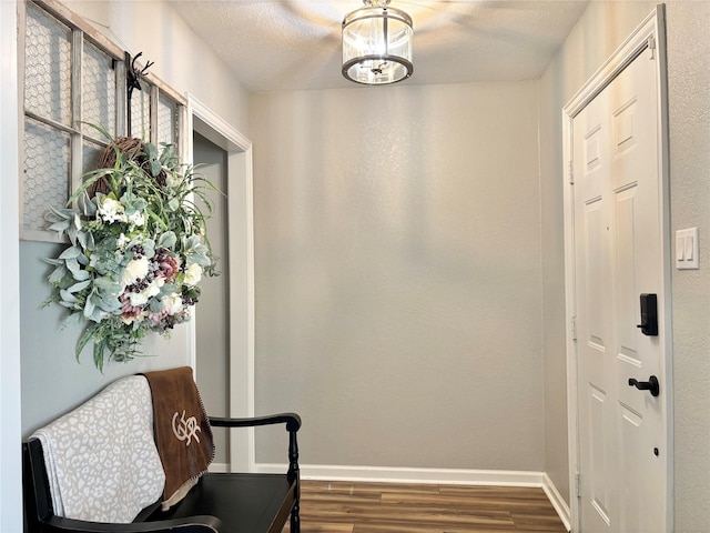 entryway featuring dark hardwood / wood-style flooring and a textured ceiling