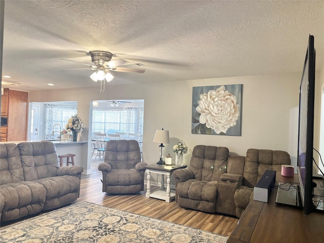 living room with ceiling fan, hardwood / wood-style flooring, sink, and a textured ceiling