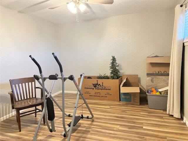 workout area featuring light hardwood / wood-style flooring and ceiling fan