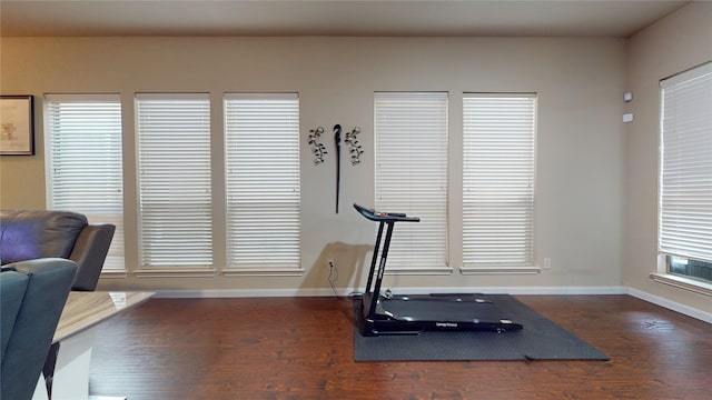 workout area featuring dark hardwood / wood-style floors