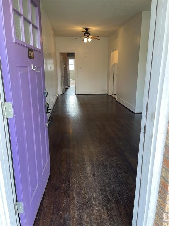 entrance foyer featuring ceiling fan and dark hardwood / wood-style floors