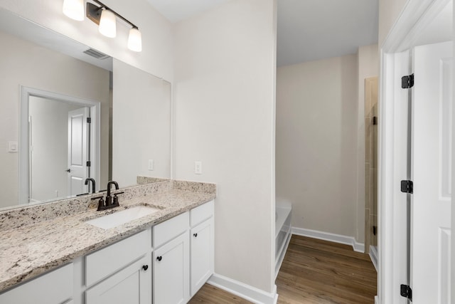 bathroom with wood-type flooring and vanity