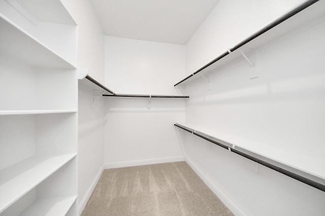 walk in closet featuring light colored carpet