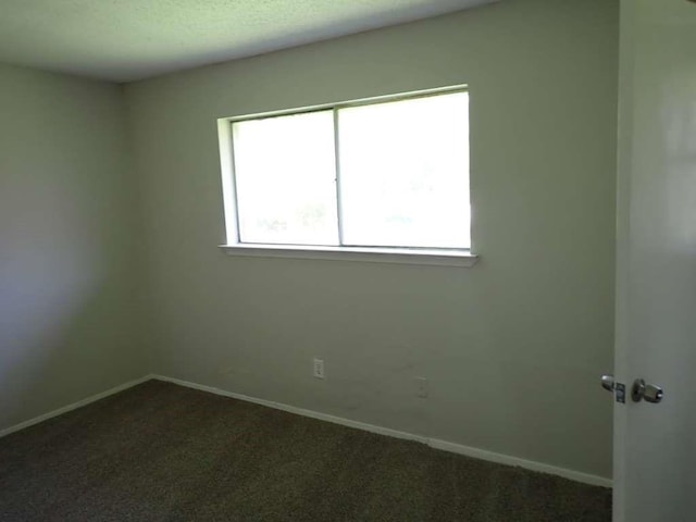 carpeted spare room featuring a wealth of natural light