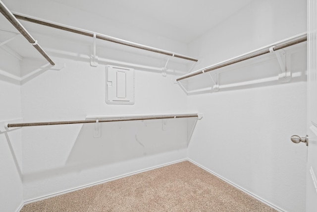 walk in closet with carpet and electric panel