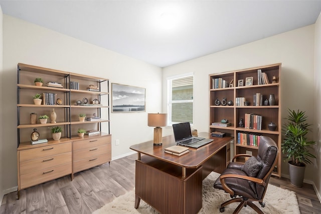 office with wood-type flooring