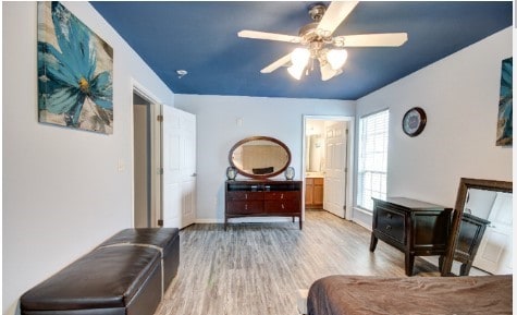 interior space featuring ceiling fan and light wood-type flooring