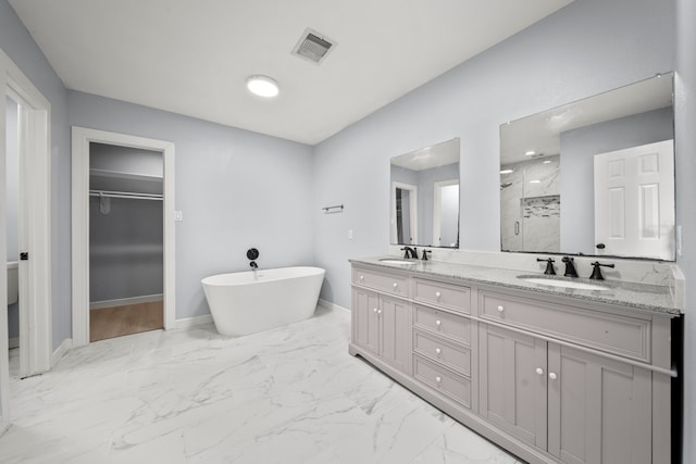 bathroom featuring vanity and independent shower and bath