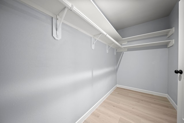 spacious closet with light wood-type flooring