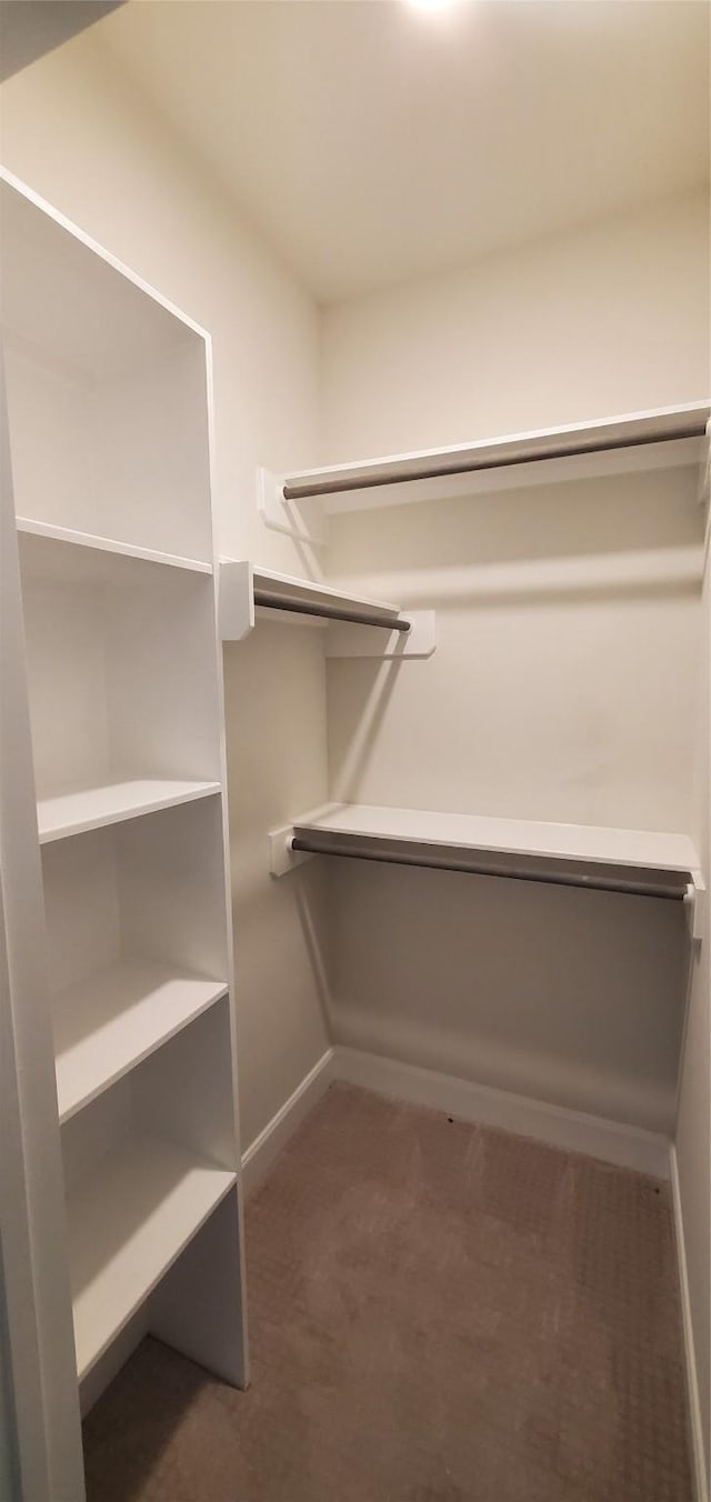 walk in closet with dark carpet