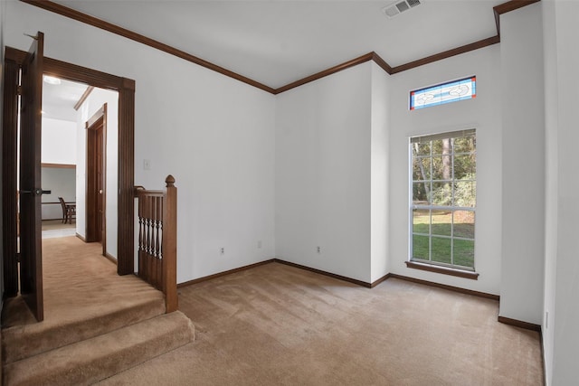 carpeted spare room featuring ornamental molding