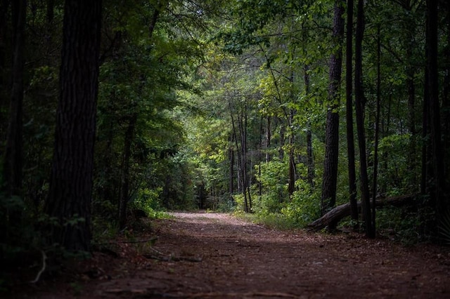 view of nature