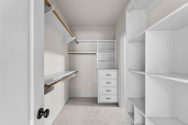 spacious closet featuring light carpet