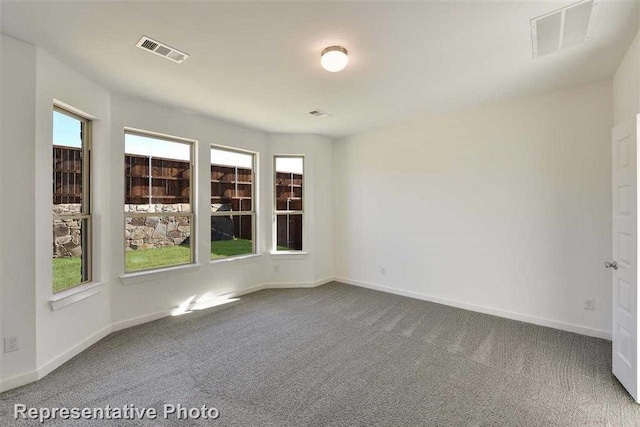 carpeted empty room featuring a healthy amount of sunlight