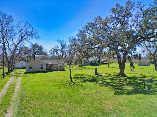 view of yard featuring driveway