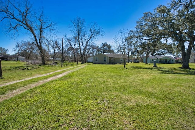 view of yard featuring driveway