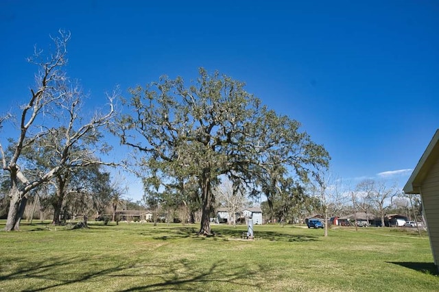 view of yard