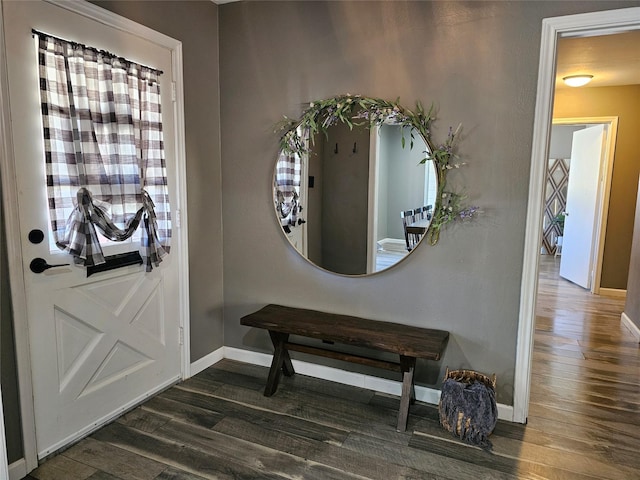 foyer entrance featuring dark hardwood / wood-style floors