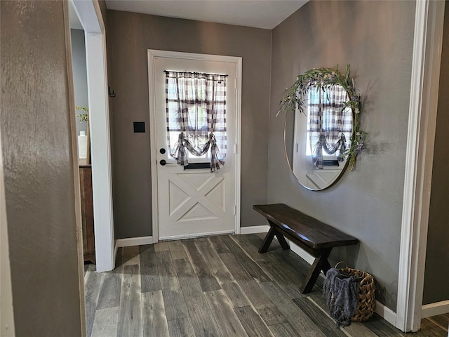 foyer with dark hardwood / wood-style flooring